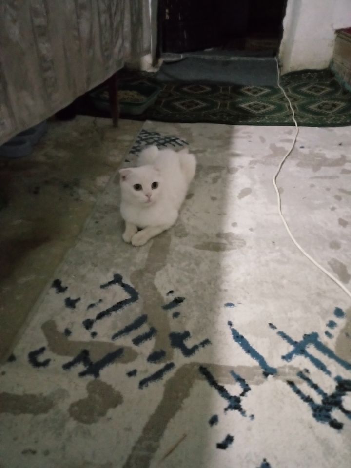 500 000 сум