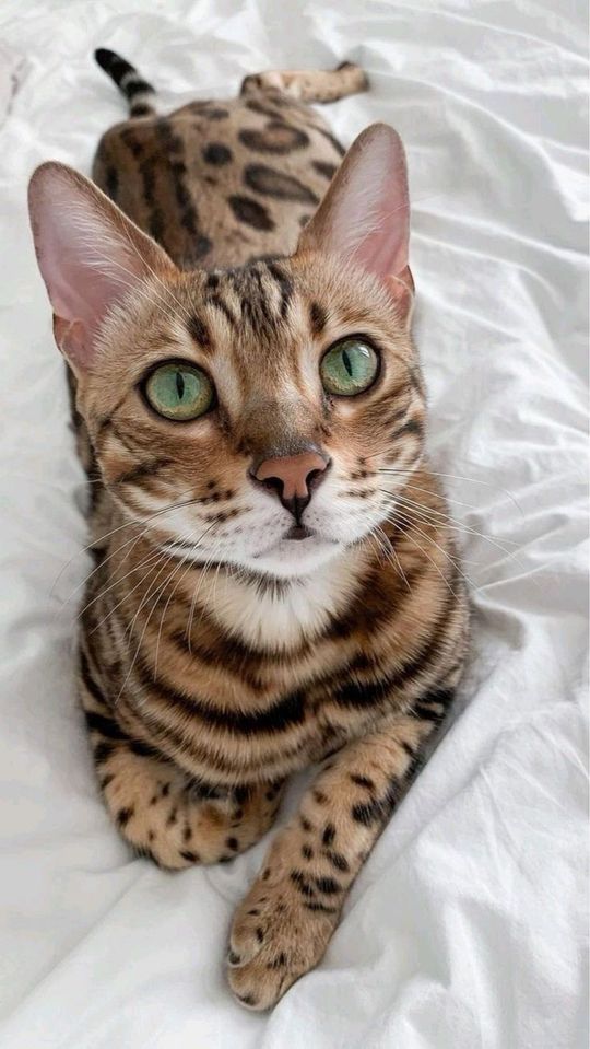 500 USD