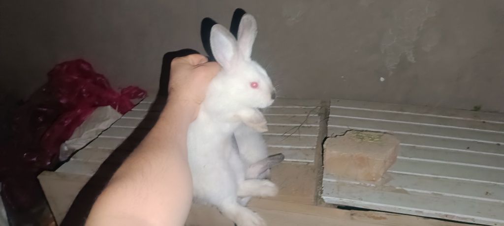 150 000 сум