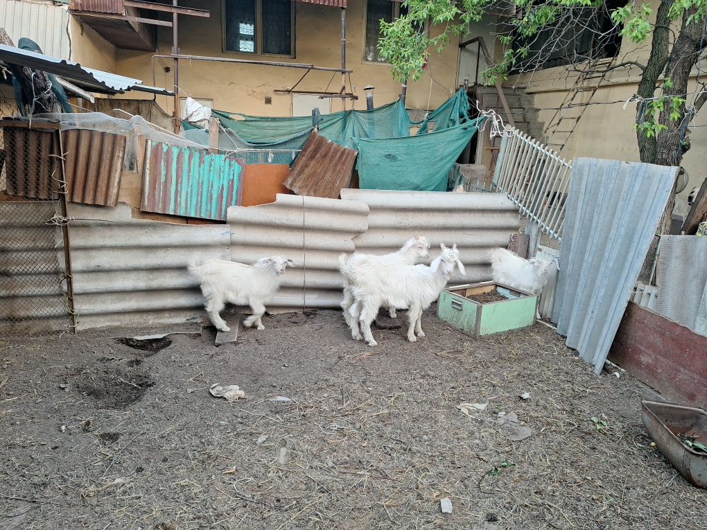 12 500 000 сум