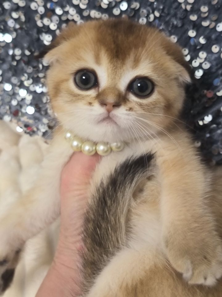 300 USD