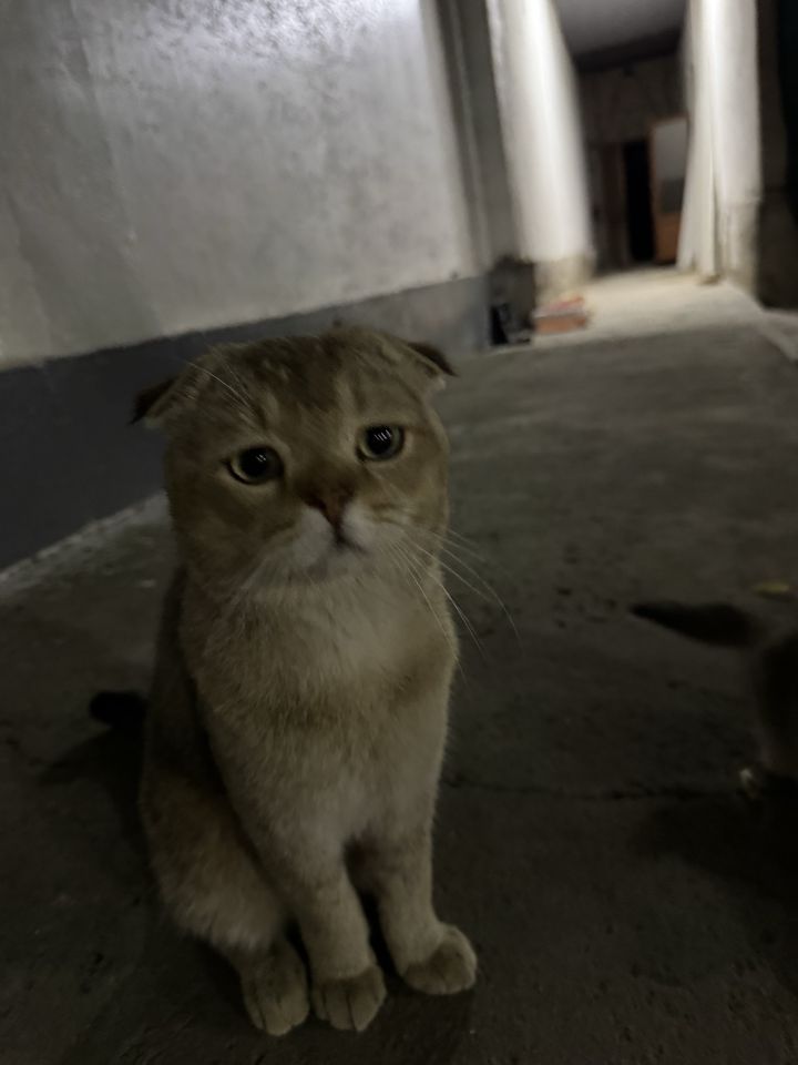 150 USD