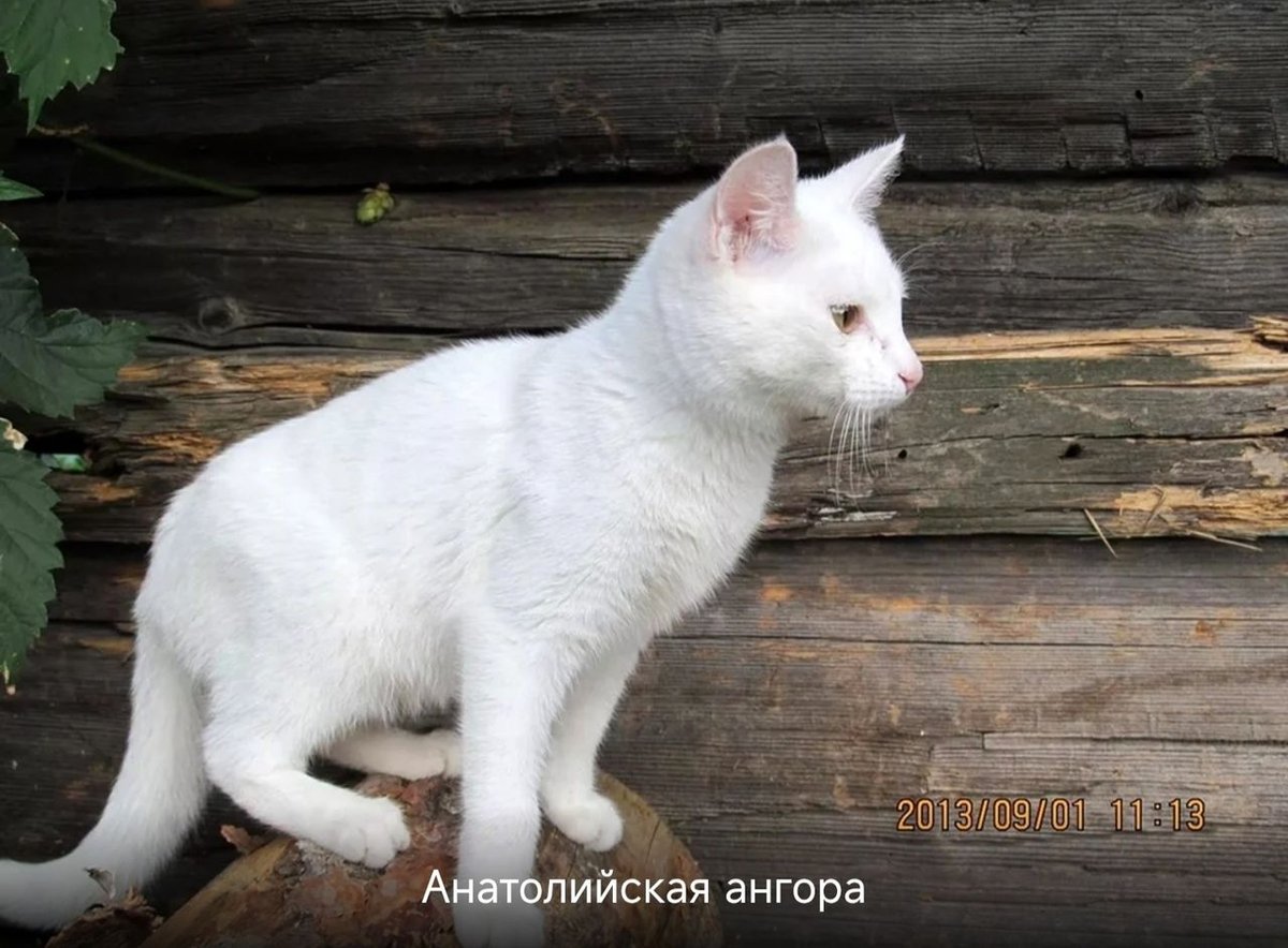 100 000 сум