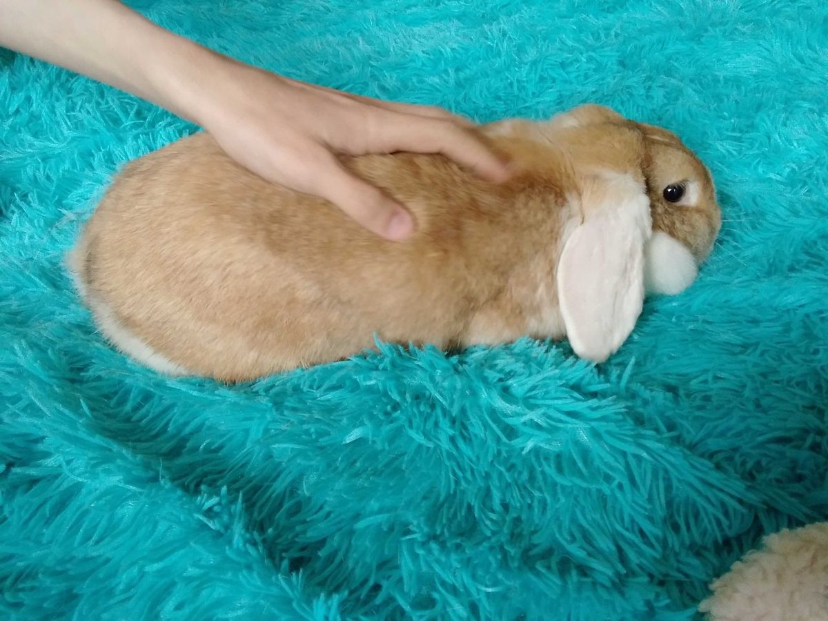 600 000 сум