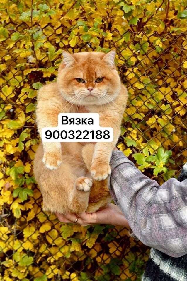 100 USD