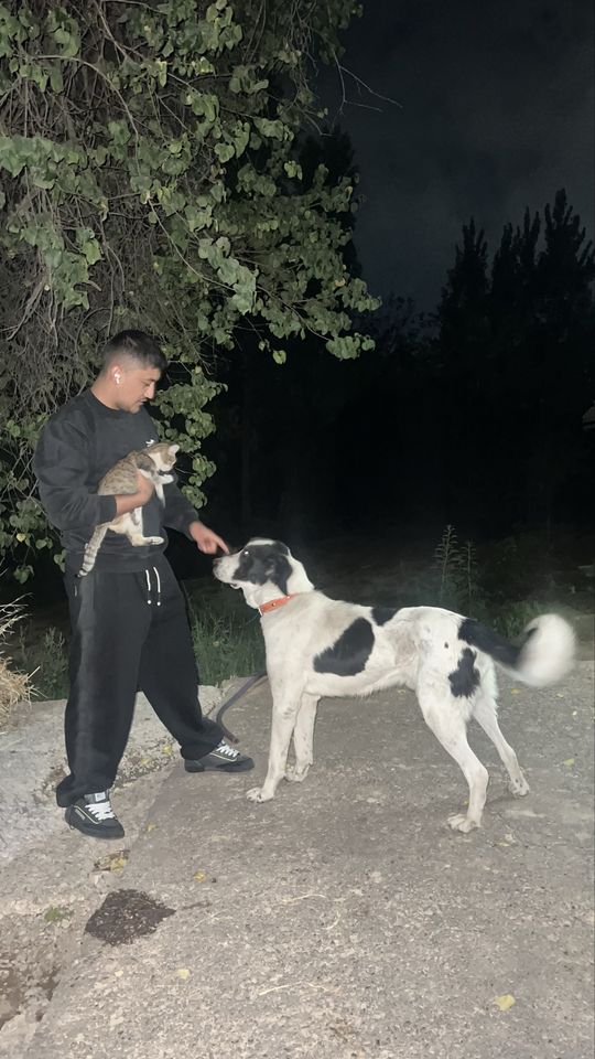 3 500 000 UZS