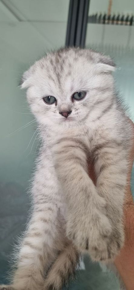 80 USD