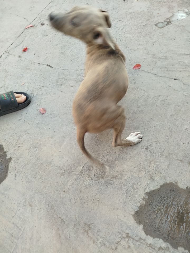 300 000 сум