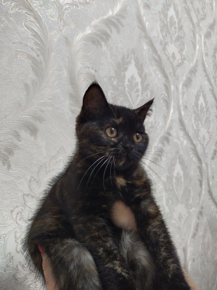 500 000 сум