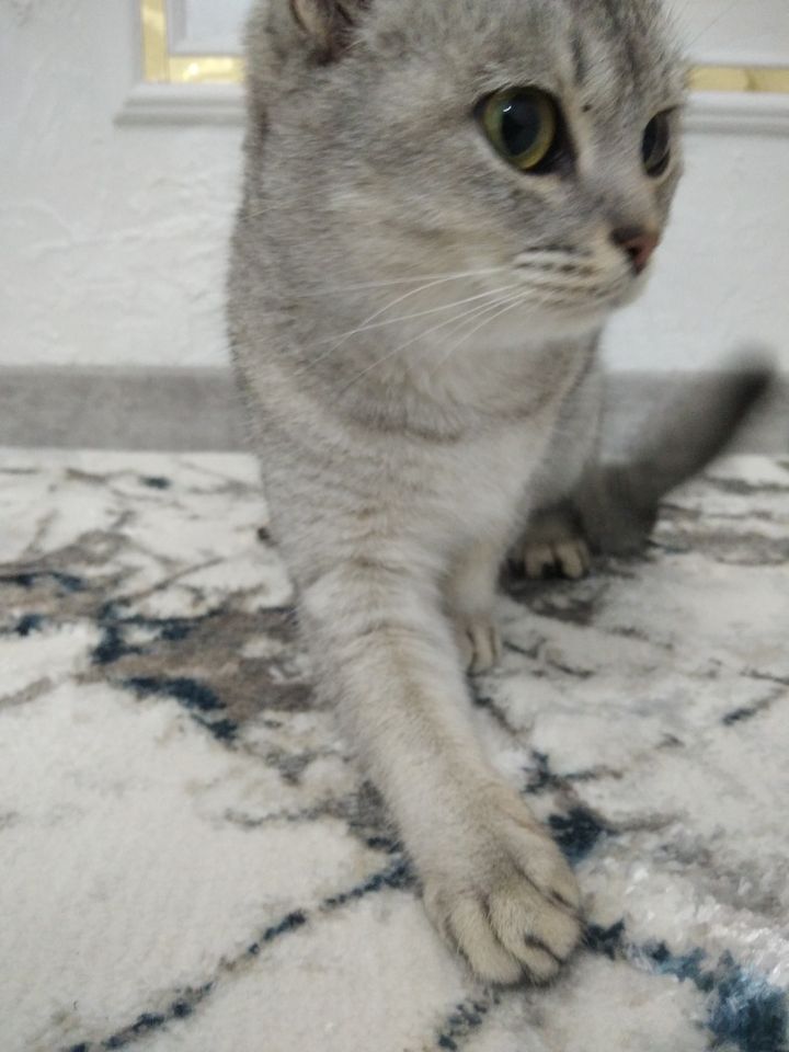 345 000 сум