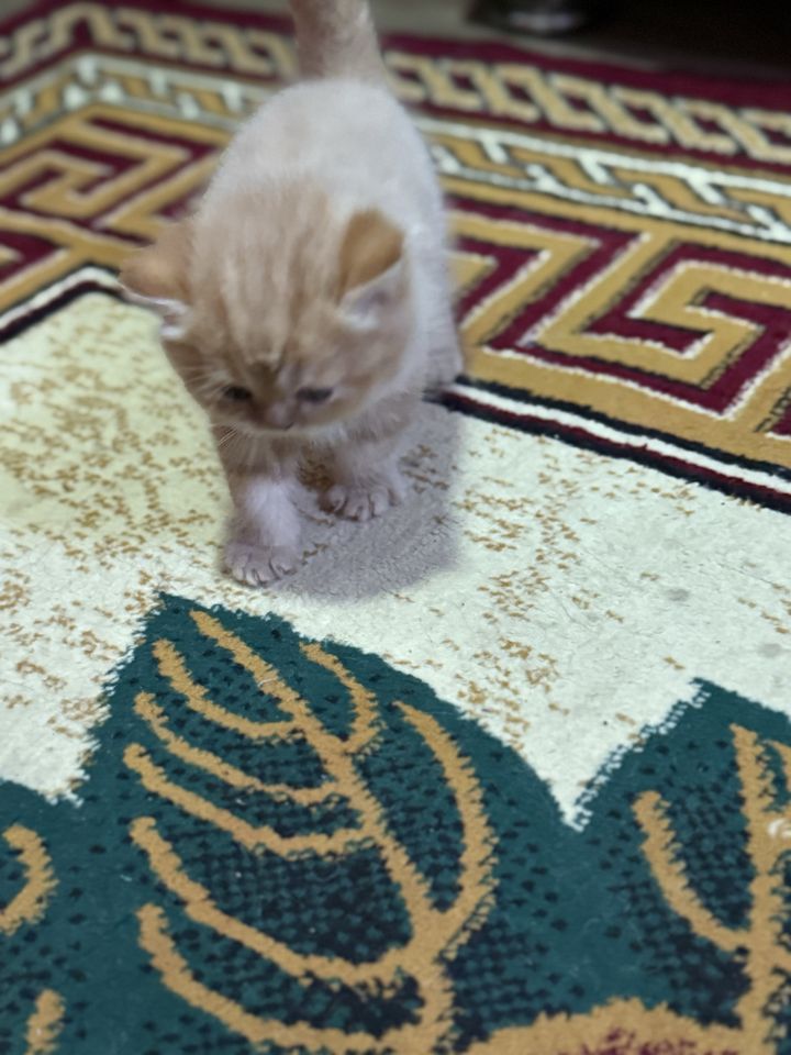 1 300 000 UZS
