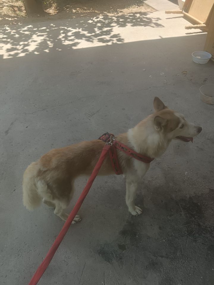 70 USD