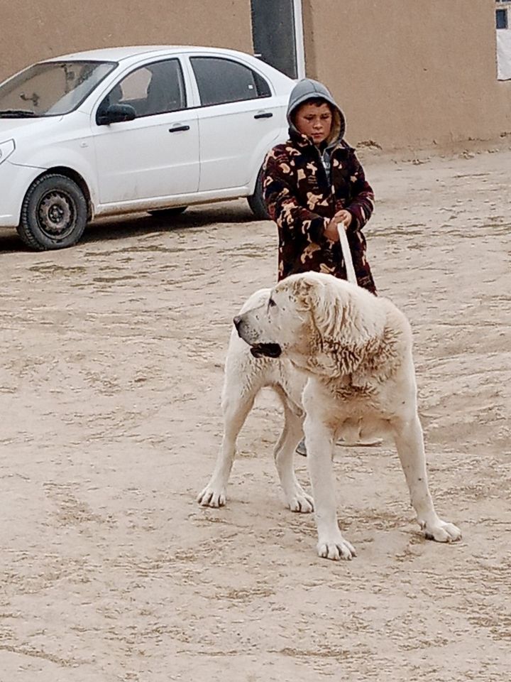 250 USD