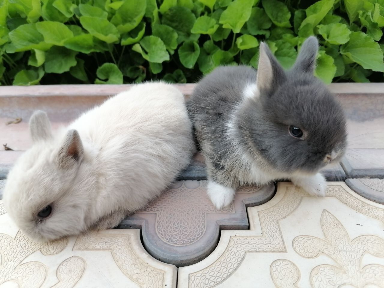 350 000 сум