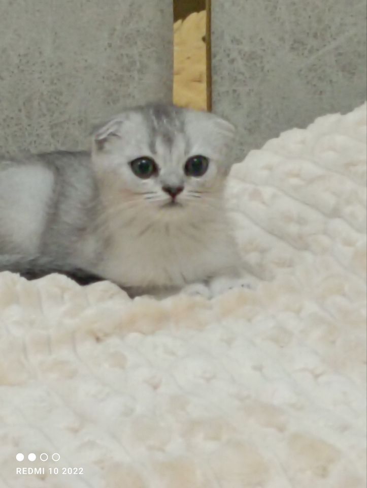 1 100 000 сум