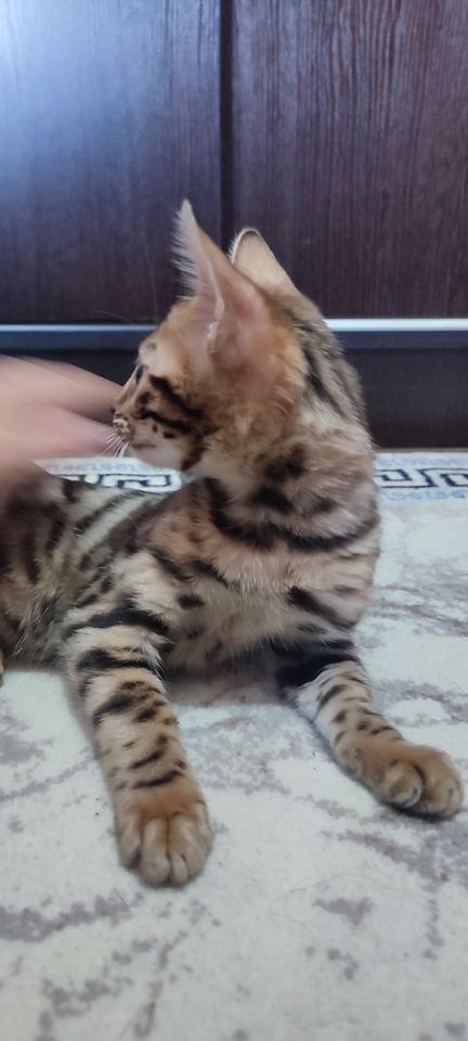 300 USD