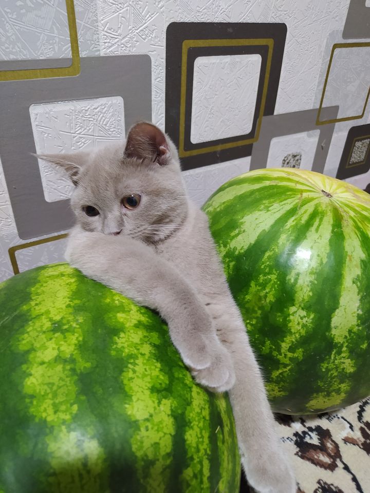 150 USD