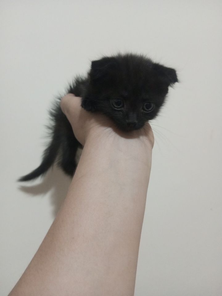 1 700 000 сум