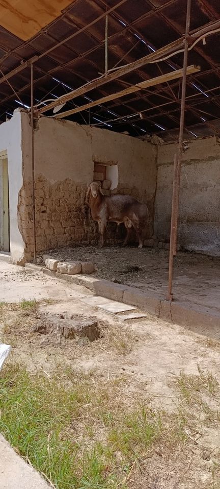 1 100 USD