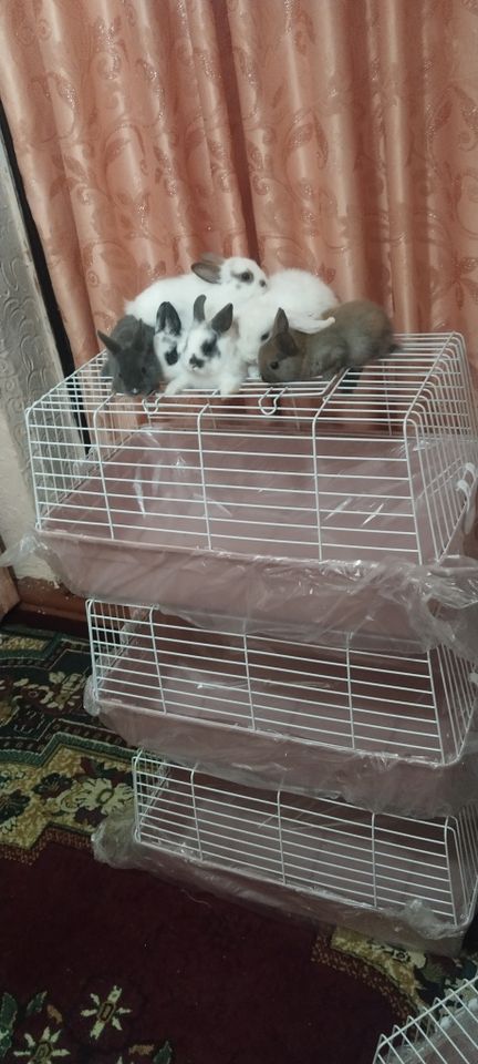 180 000 сум