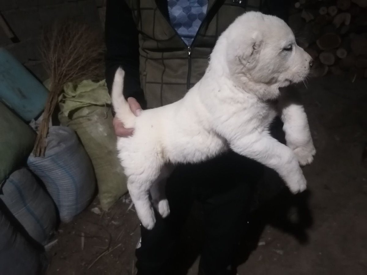 100 USD