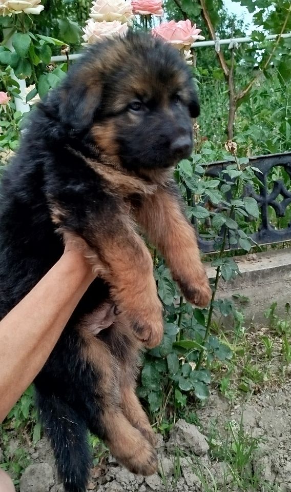 400 USD