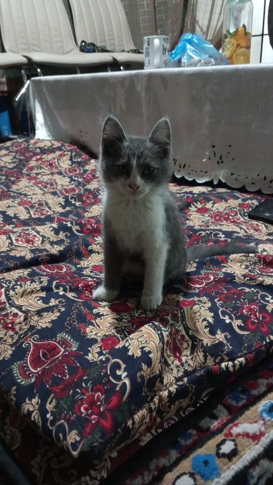 800 000 сум