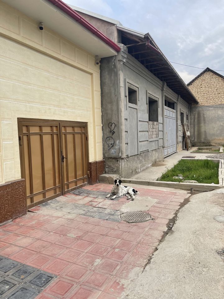 50 USD