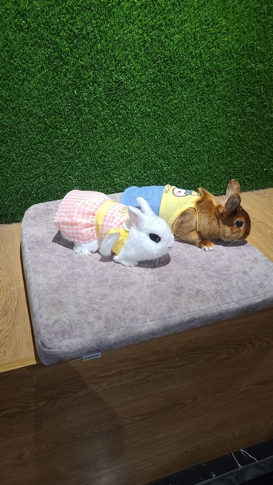 200 000 сум