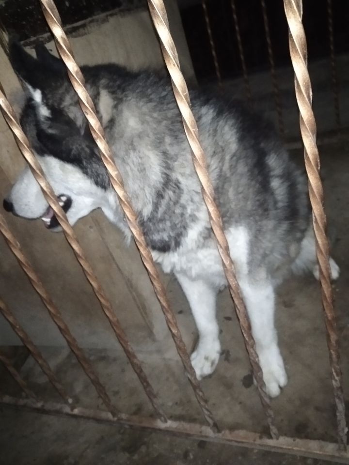 2 000 000 сум