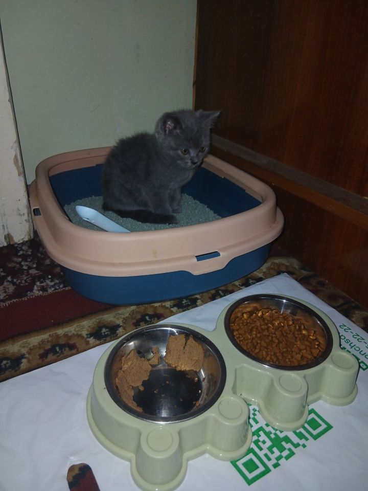 1 000 000 сум