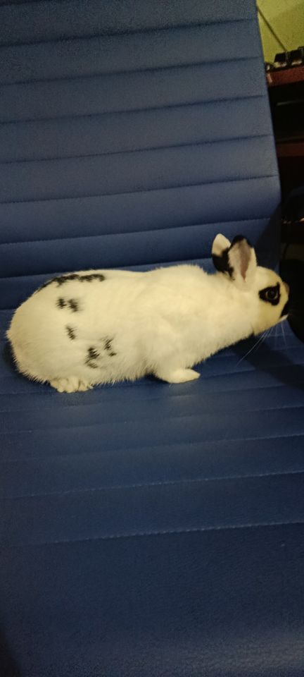 350 000 сум