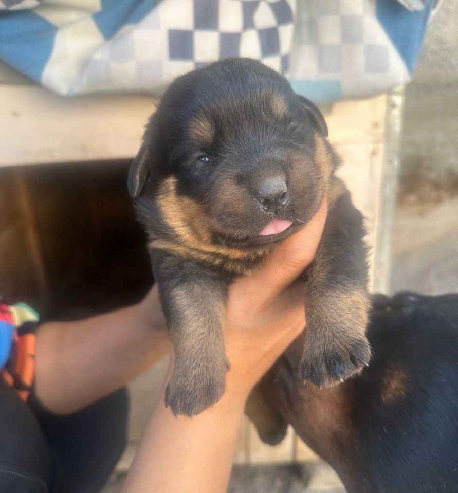 2 500 000 сум