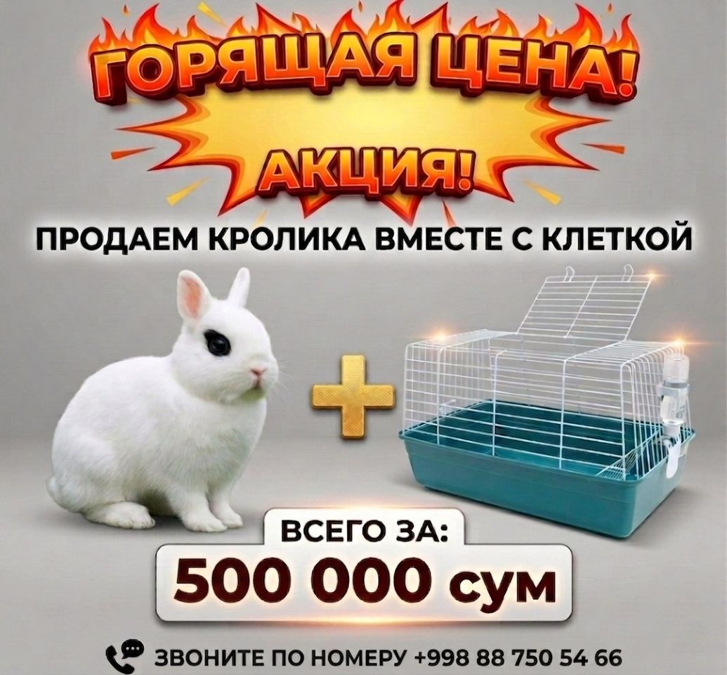 300 000 UZS