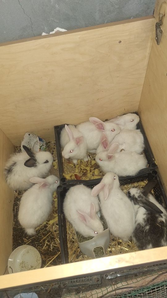 100 000 UZS