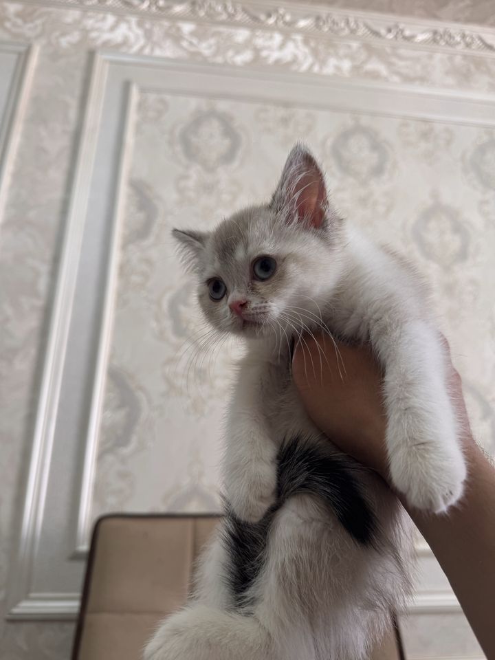 450 000 сум