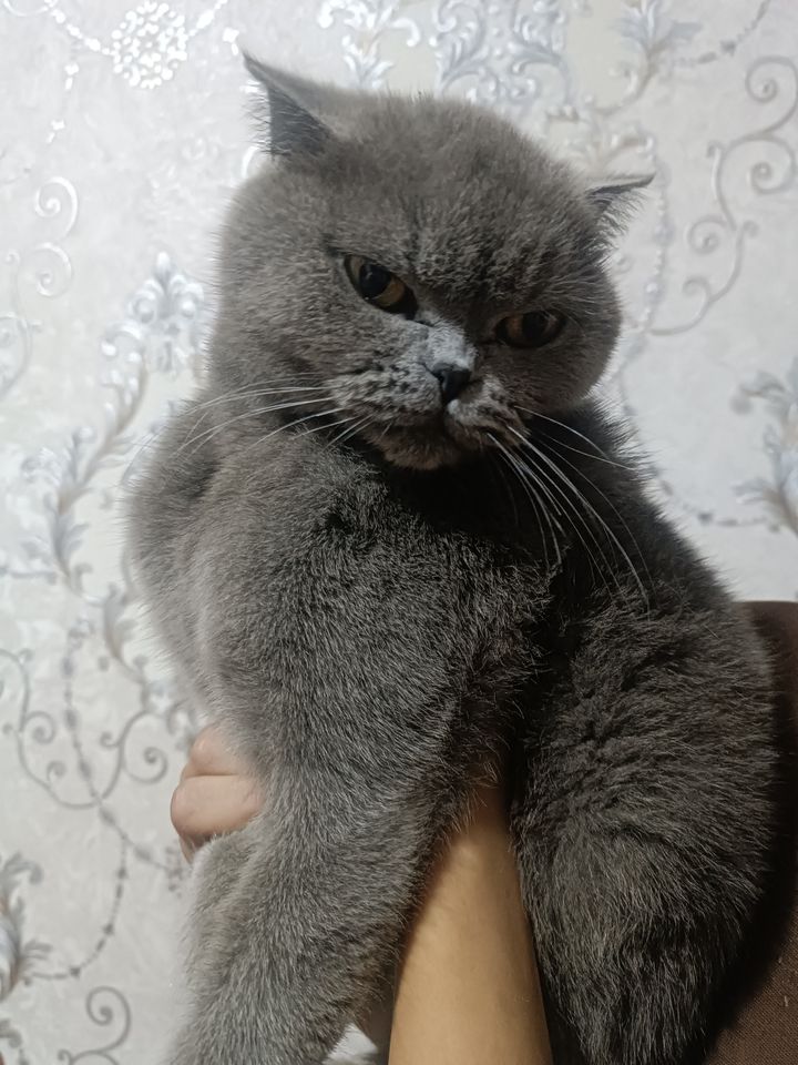 800 000 сум