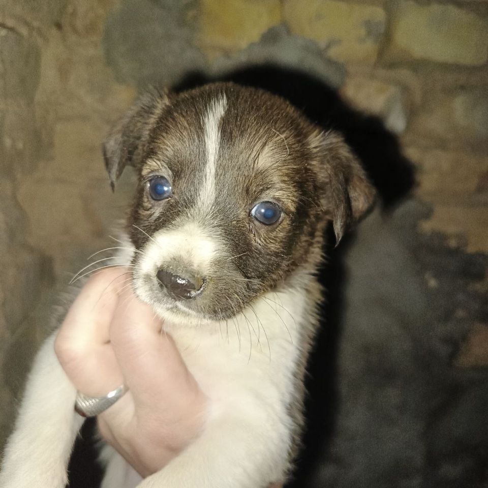 150 000 UZS