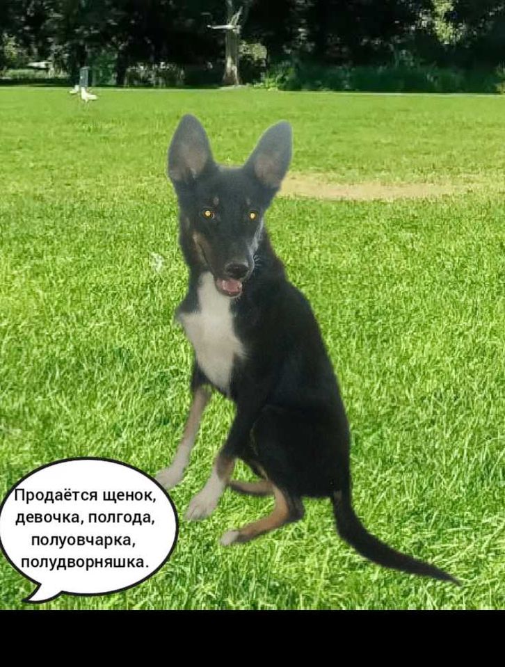 100 000 UZS