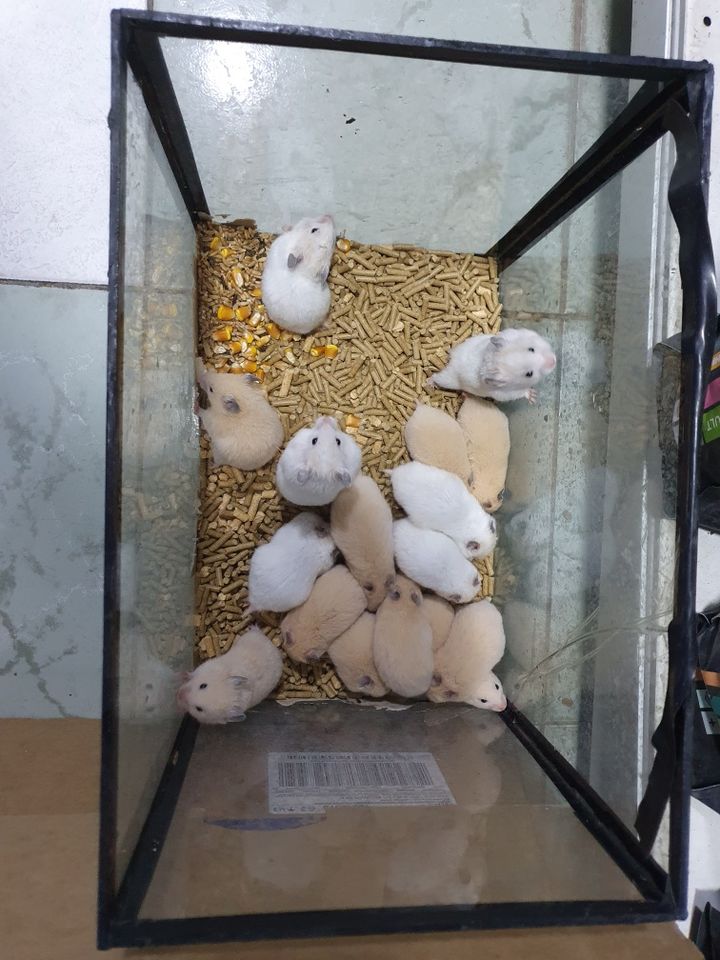 30 000 сум