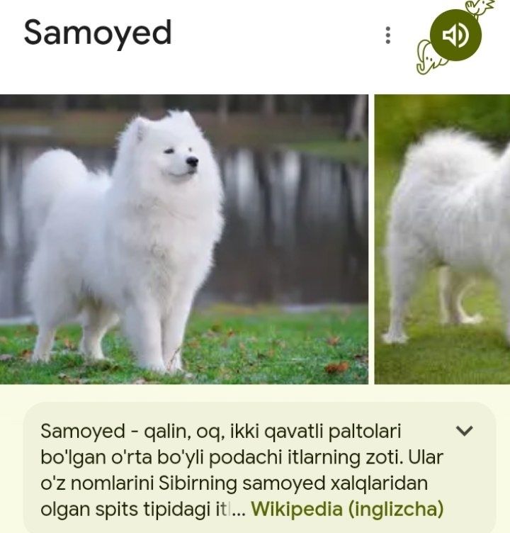 200 USD