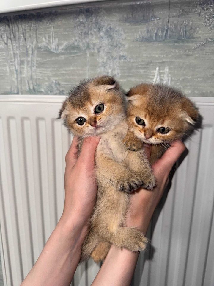 150 USD