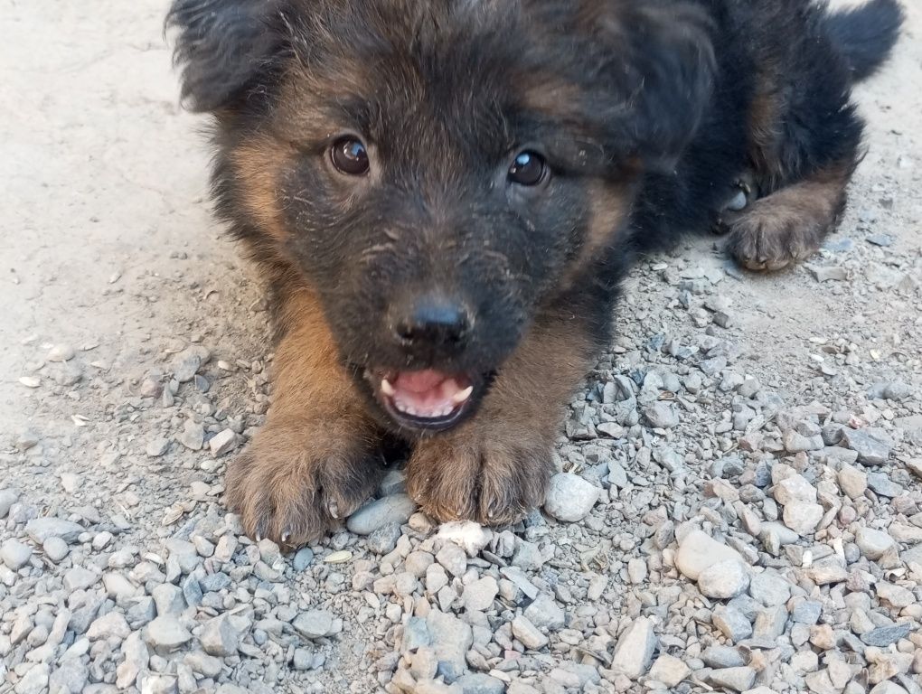 1 500 000 сум