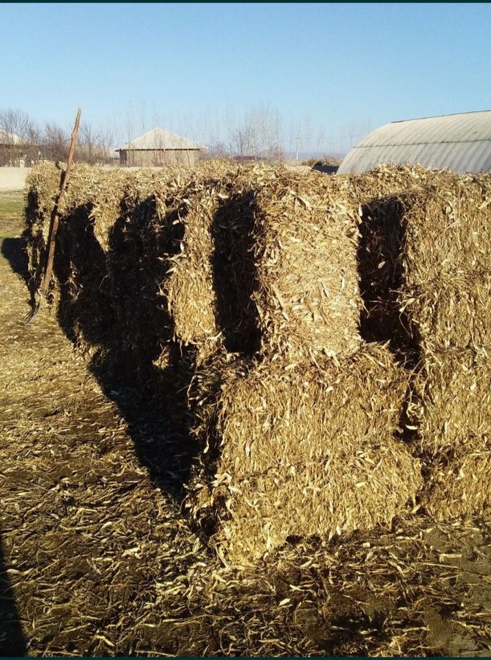 26 000 сум