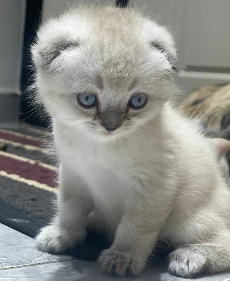 120 USD