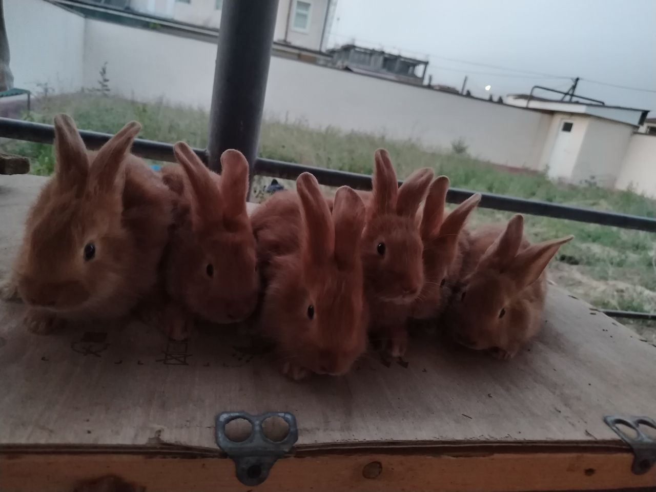 100 000 сум