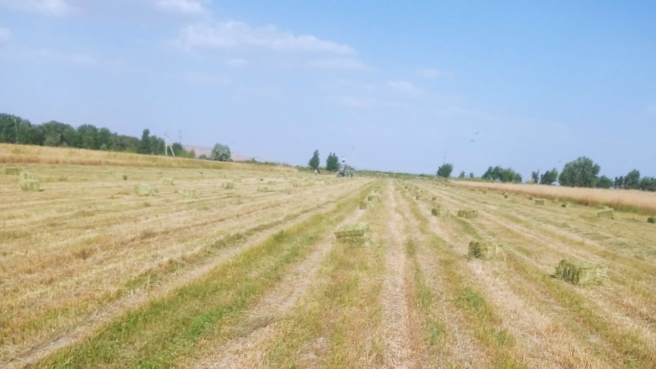 23 000 сум