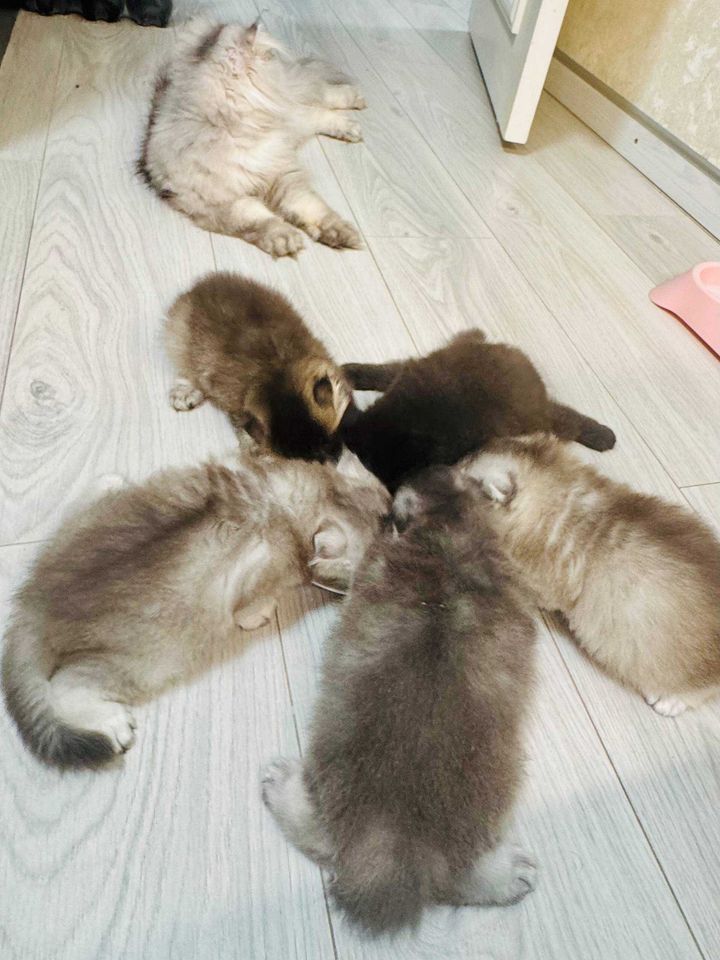 1 500 000 сум