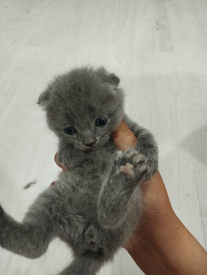 1 000 000 сум