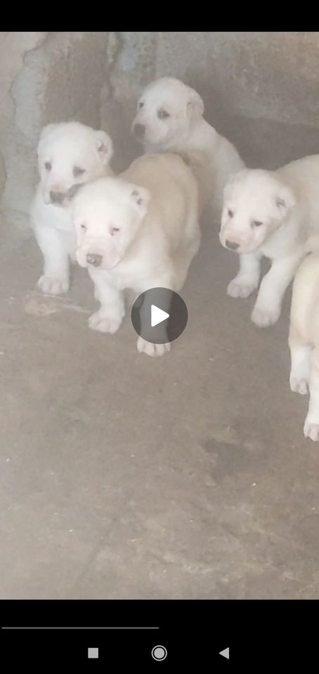 350 USD